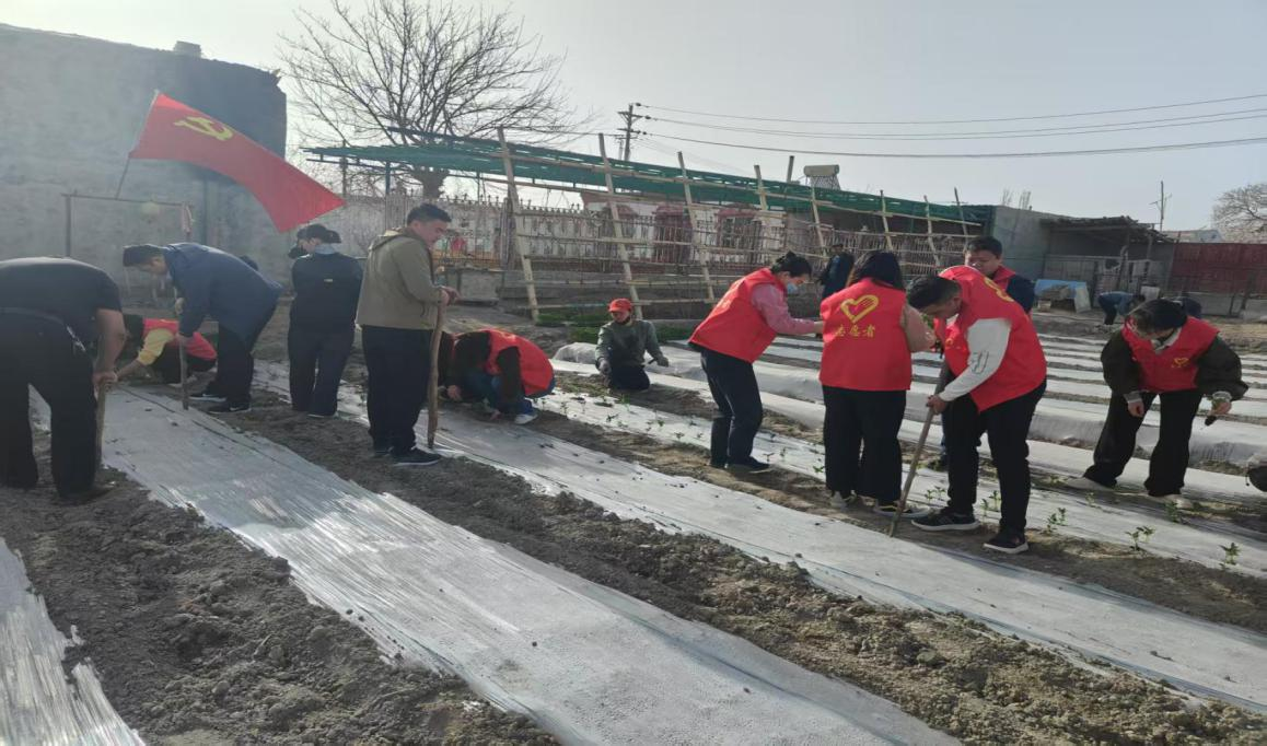 图片4.png 图片4.png