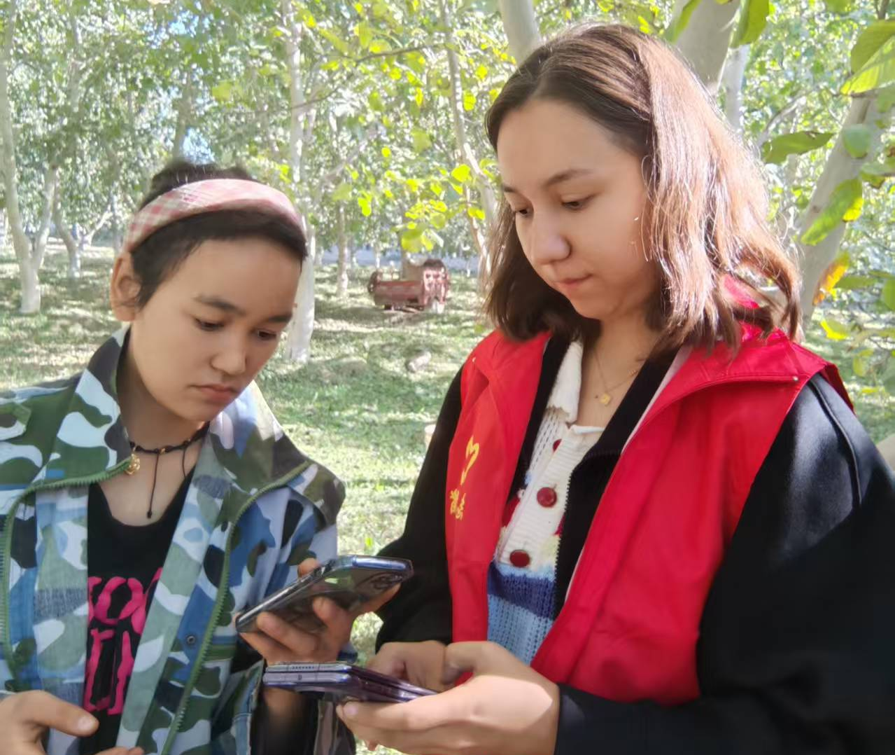 图片1.png