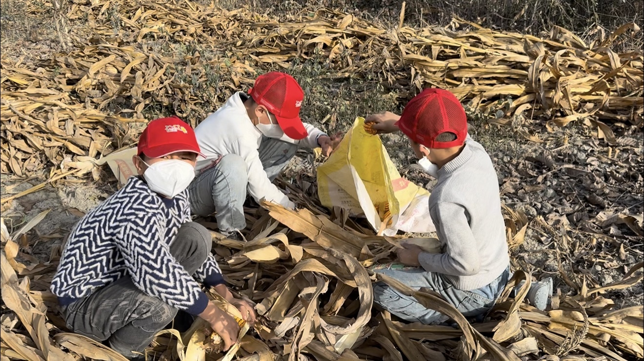 微信图片_20251028154951_283_25.jpg 微信图片_20251028154951_283_25.jpg