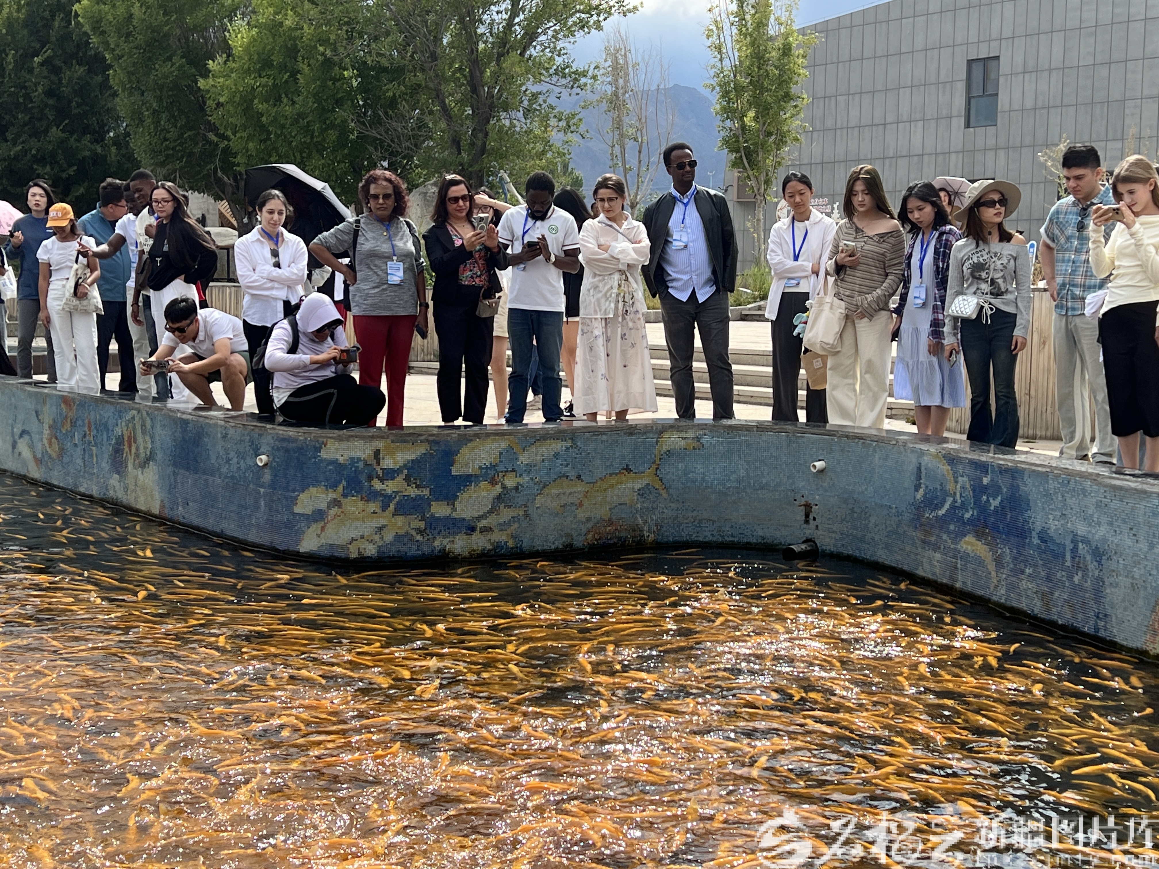 mmexport1756050931206