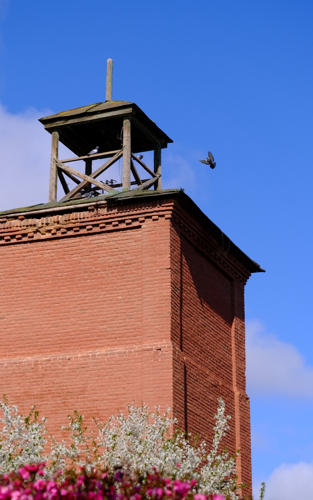 mmexport1776572751044