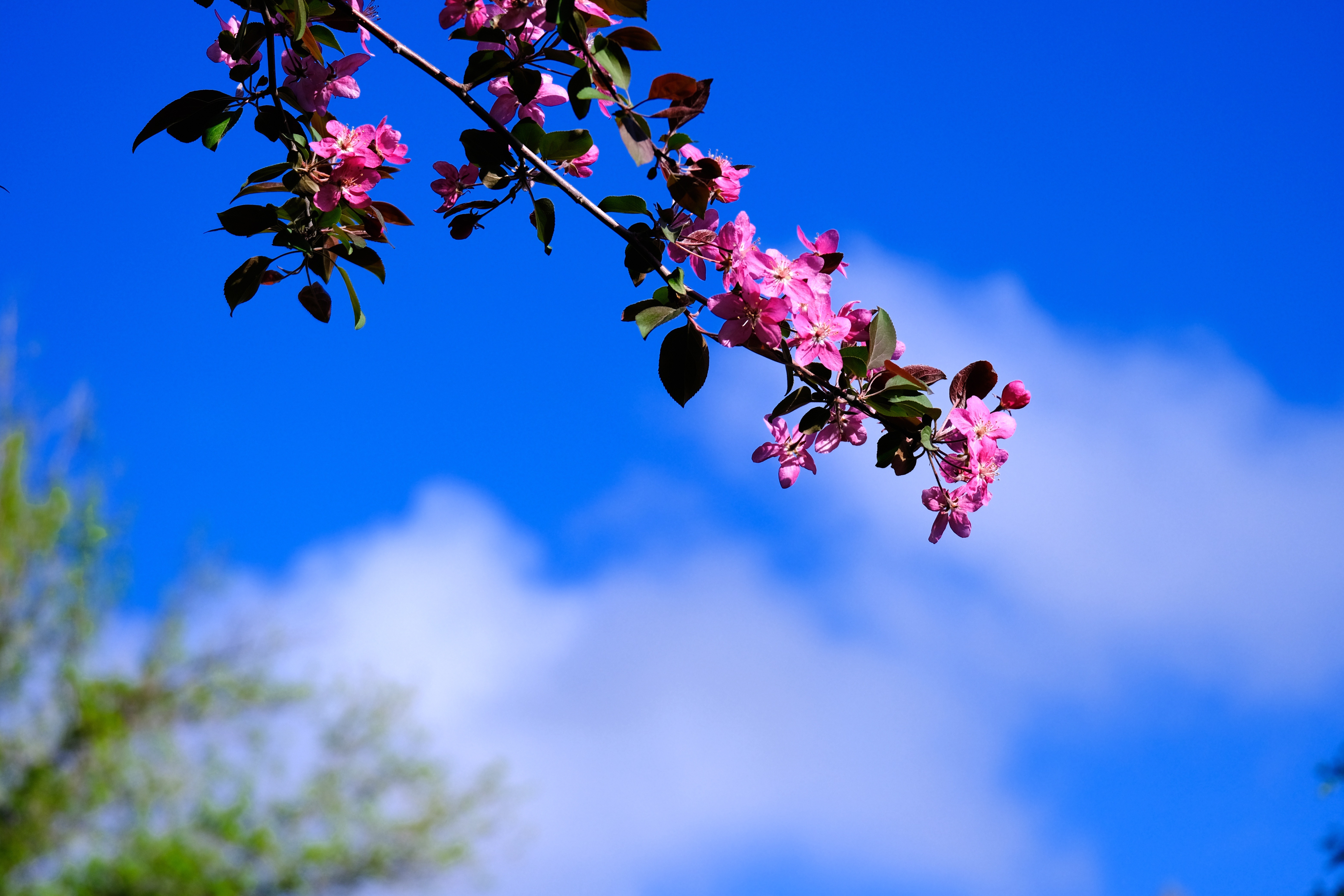 mmexport1776572739103