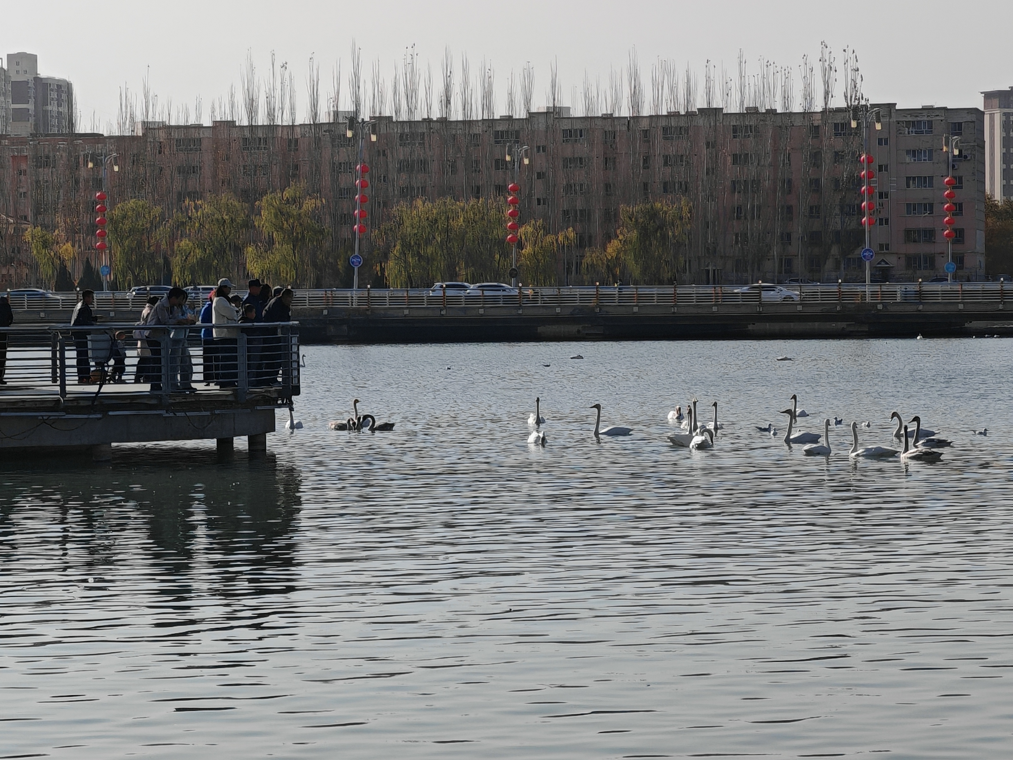 IMG_CROP_20251102_16105880