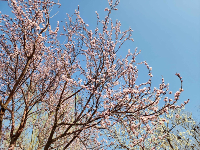 20260313_120727_副本