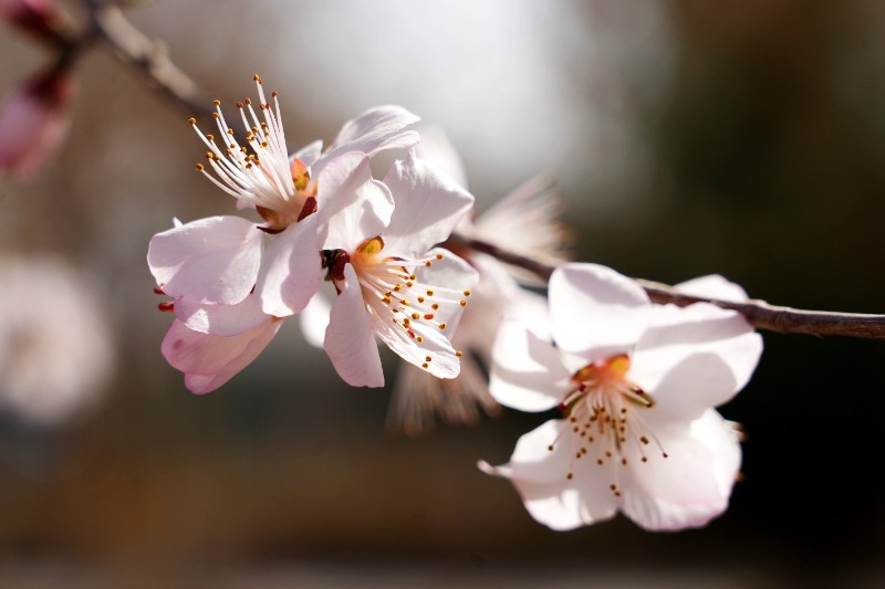 DSC07951_看图王_副本