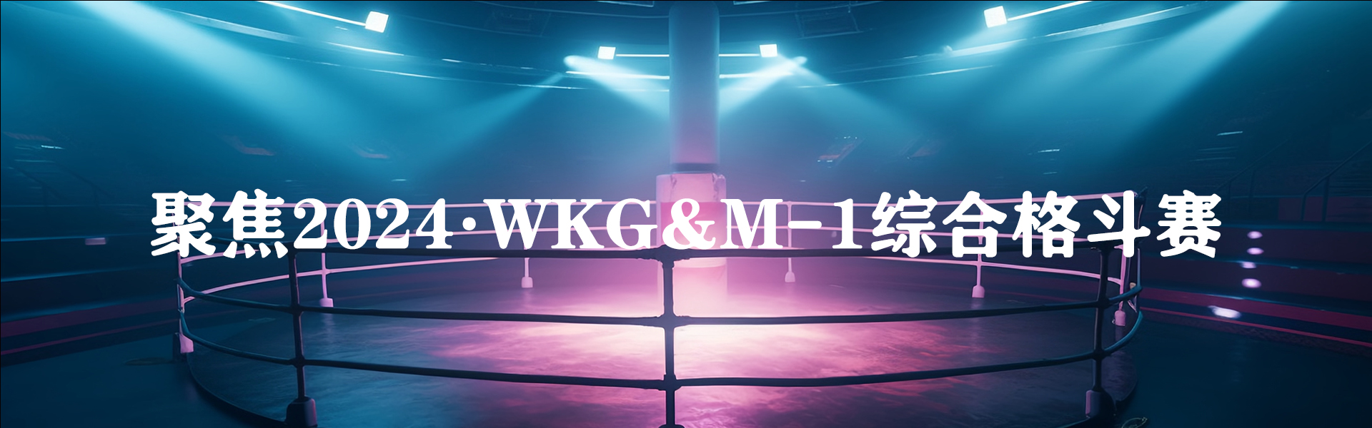  聚焦2024·WKG&M-1综合格斗赛