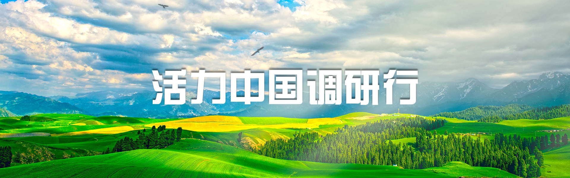  活力中国调研行