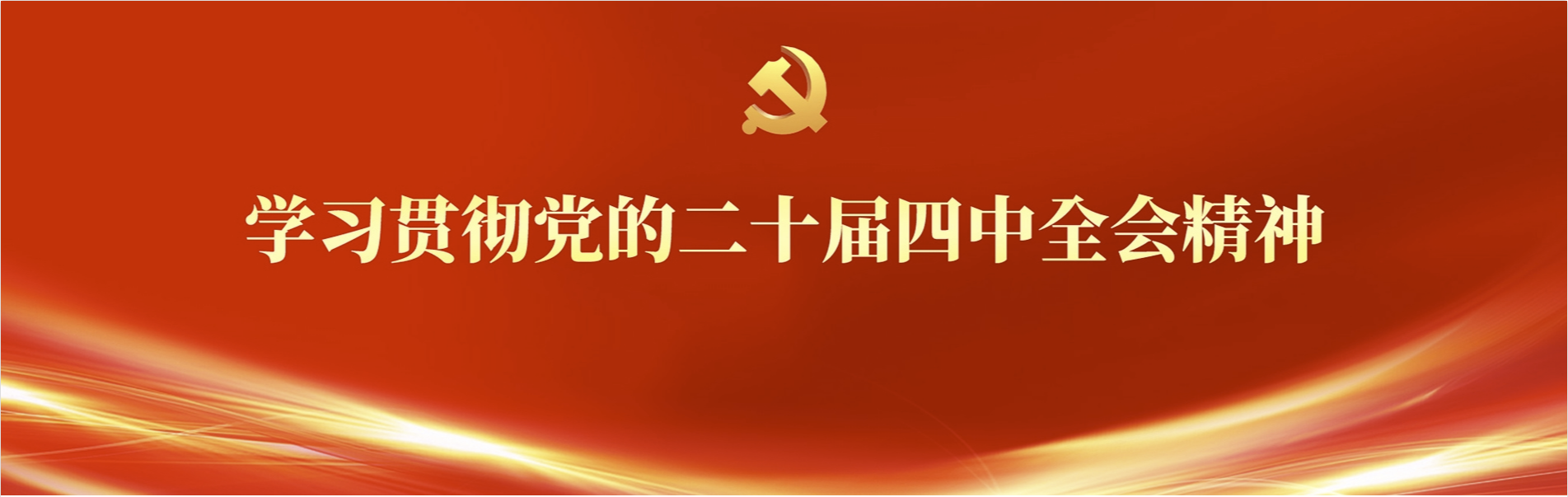 学习贯彻党的二十届四中全会精神